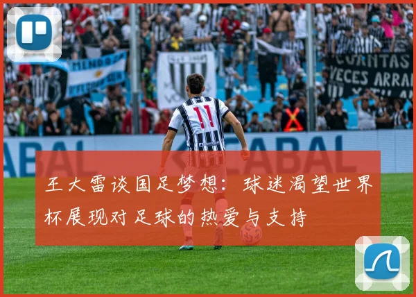 王大雷谈国足梦想：球迷渴望世界杯展现对足球的热爱与支持